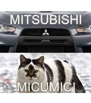 Autó ,vs cica !