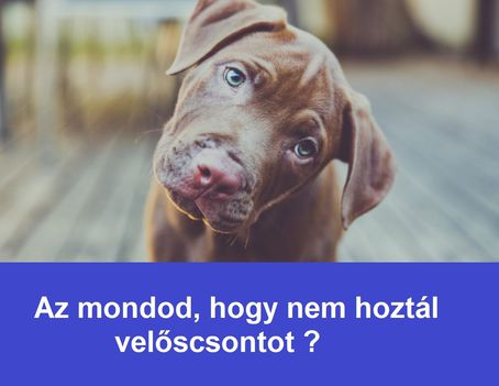 Az mondod, hogy nem hoztál velőscsontot !