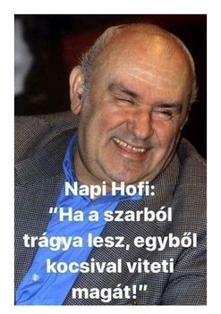 Hofi !