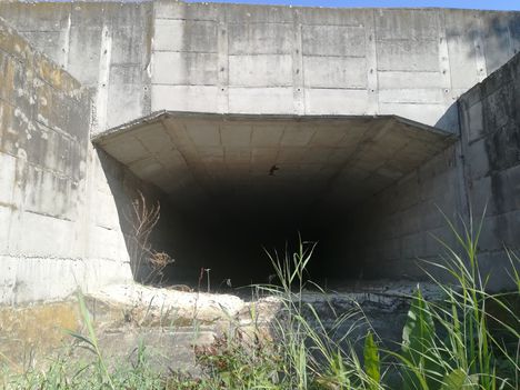 A Dunakiliti duzzasztómű jobb partján kiépített vízkivételi alagút alsó vége a Görgetegi Duna-ágról nézve, Dunakiliti 2019. augusztus 15.-én 1