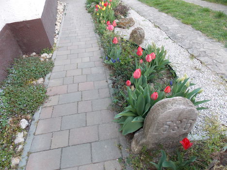 A járda mellett áprilisban nyíló virágok