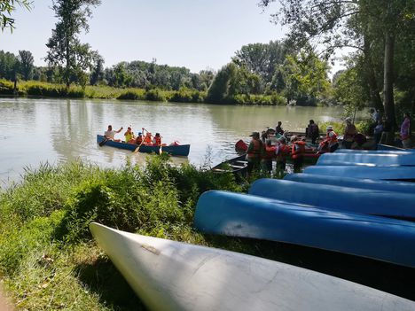 A Kisvesszősi Camping Cikolaszigeten, Dunasziget 2019.08.15. 