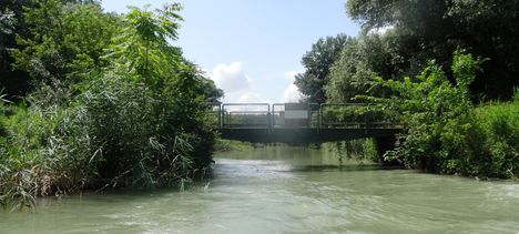 Csökös híd a Csökös csatornán Doborgazsziget térségében a Kormosi Duna-ág mellett, 2016. július 13.-án  1