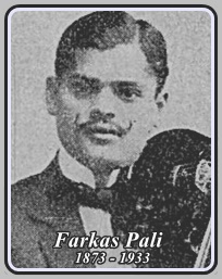 FARKAS PALI 1873 - 1933