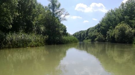 Mosoni-Duna folyó a Mosonmagyaróvári duzzasztómű alatti szakaszon, 2019. július 24.-én