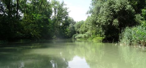 Zalka Duna-ág a Szigetközi hullámtéri vízpótlórendszerben Doborgazsziget és Tejfalusziget között, 2016. július 13.-án 3