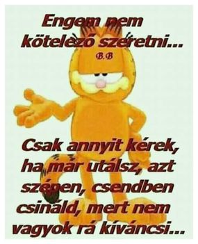Annyit kérek !