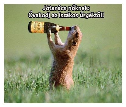 Jó tanács !