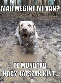 Mi van !