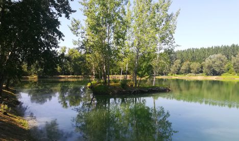 Patkányosi tó, Győrzámoly 2021.08.14-én 1