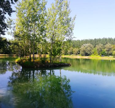 Patkányosi tó, Győrzámoly 2021.08.14-én 2
