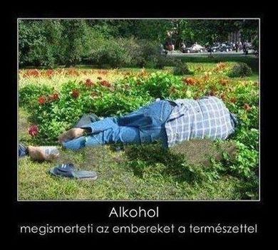 Alkohol !