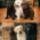 Az_orok_baratsag__2152748_7603_t