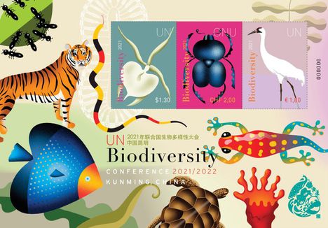 Biodiverzitás konferencia