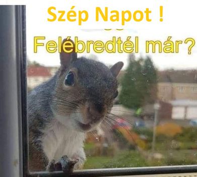 bresztő !
