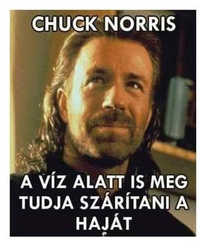 Chuck Norris !