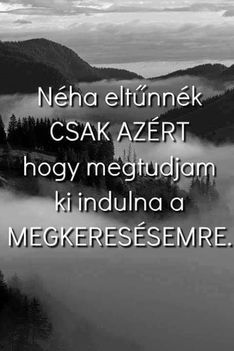 Eltűnés !