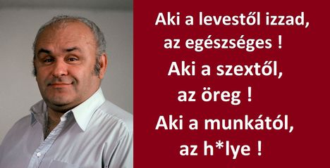 Figyelj, haver !