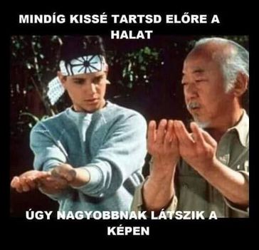 Karate Kid okítása !