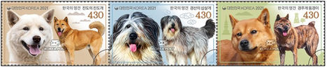 Koreai kutyák