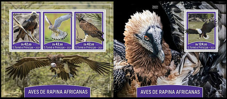 Afrikai ragadozó madarak