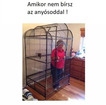 Anyós 2!