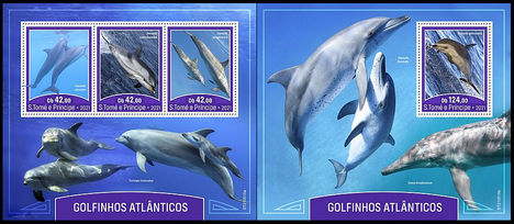 Atlanti-óceáni delfinek