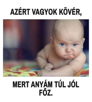 Kövér !