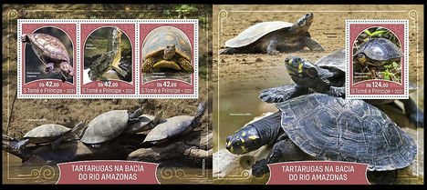 Amazonas-medencei teknősök