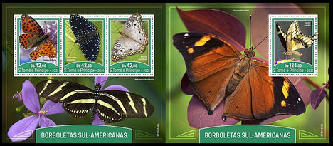 Dél-amerikai pillangók
