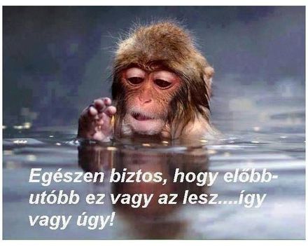 Előbb, vagy utóbb !