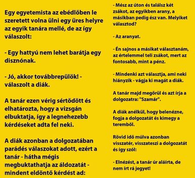 Hattyú !