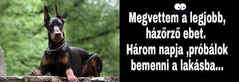 Házőrző !