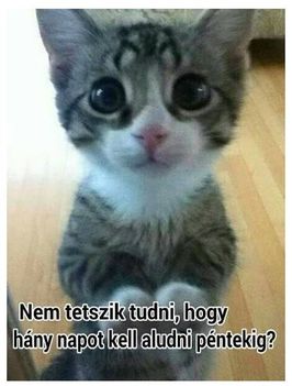 Ki tudja !