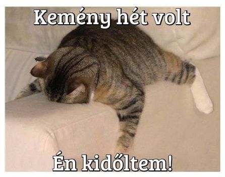 Kidőltem !