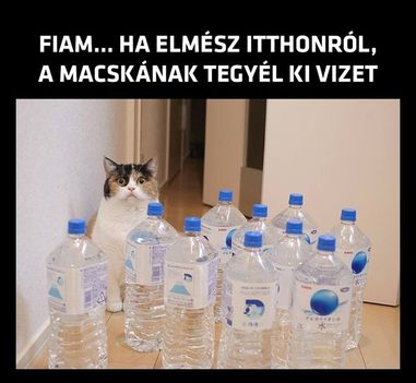 Kissé agyament !