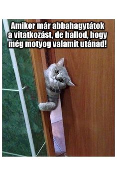 Motyogás !