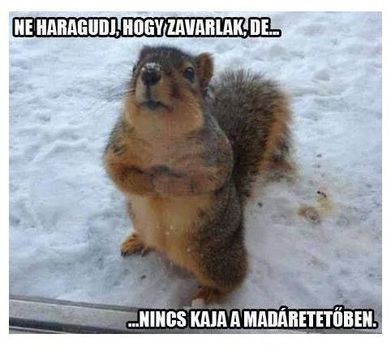 Ne haragudj !