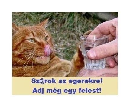 Nem érdekel !