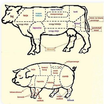 Szarvasmarha és sertés részei