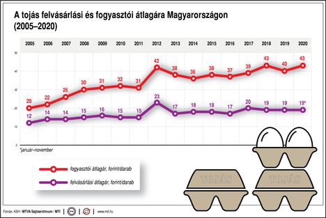 Tojás ára'20