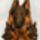 Triumviratus__2155731_9724_t