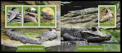 Afrikai krokodilok