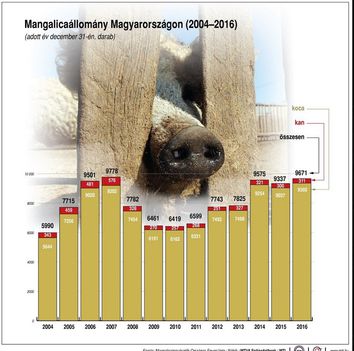Mangalicaállomány 2004-2016