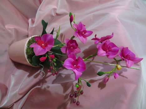 rózsaszín orchidea
