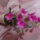 Rozsaszin_orchidea-002_2156240_1317_t