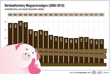 Sertésállomány