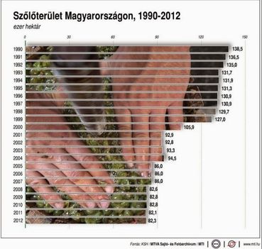 Szőlőterület 1990-2012