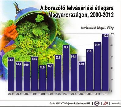 Borszőlő ára 2000-2012