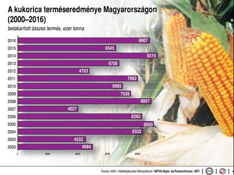 Kukorica termés 2000-2016